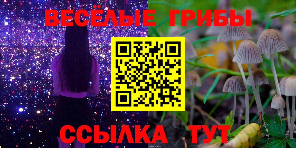 Галлюциногенные грибы Psilocybe  Вход с VPN  Галлюциногенные грибы Magic Shrooms  Мыски 